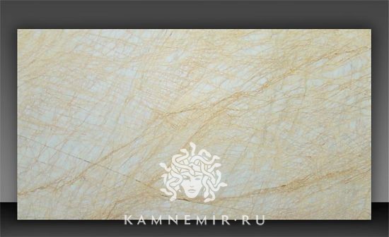 Golden Spider - фото 1