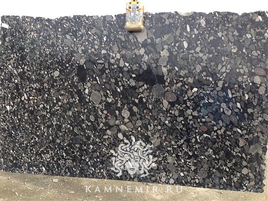 Black Marinace - фото 1