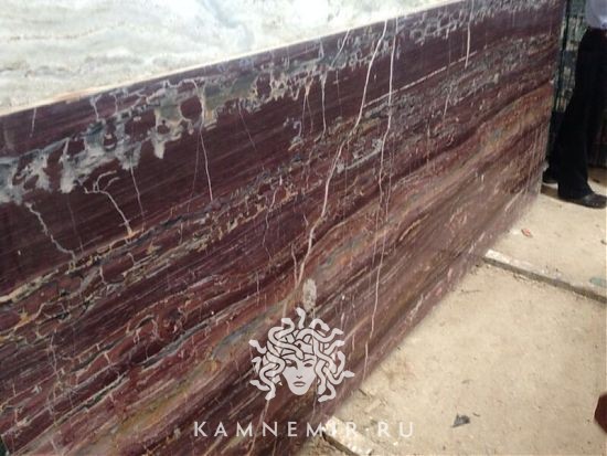 Brown Alligator - фото 1