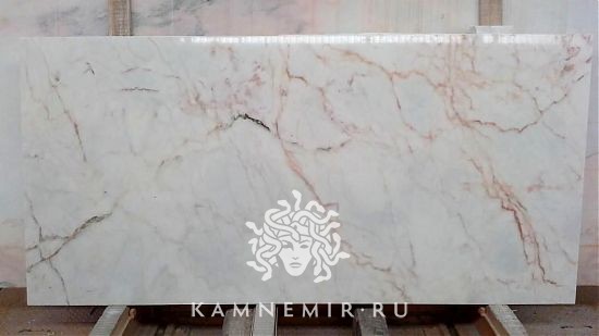 Rosa Aurora - фото 2