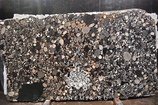 Black Marinace - фото 2