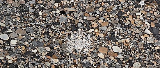 Black Marinace - фото 3