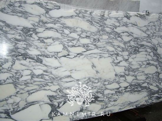 Arabescato Corchia - фото 4