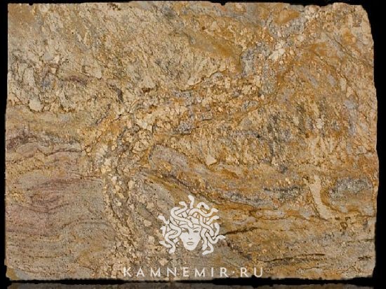 Golden Ray / Gold Ray - фото 3