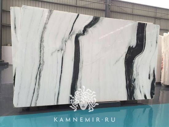 Panda White - фото 4