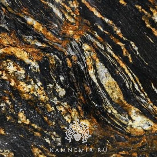 Black Taurus / Black Fusion