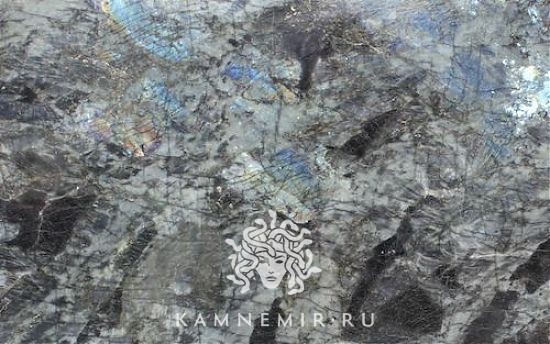 Blue Flowers / Big Flowers