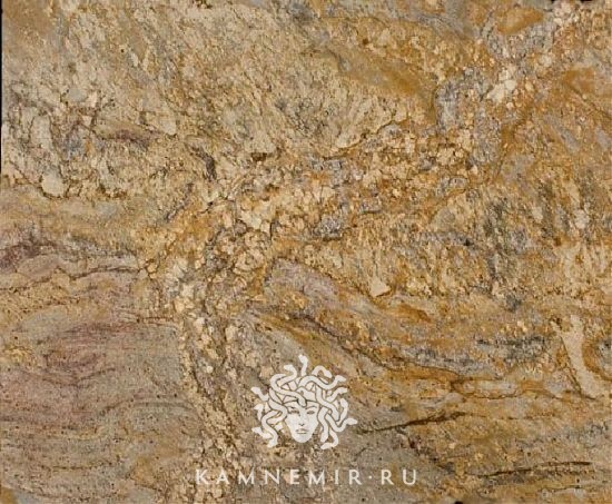 Golden Ray / Gold Ray