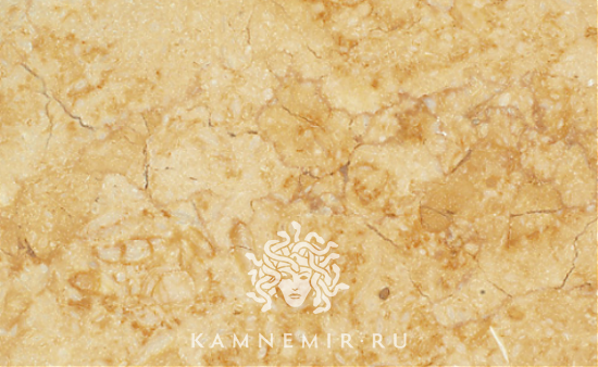 Sunny Dark / Sunny Gold