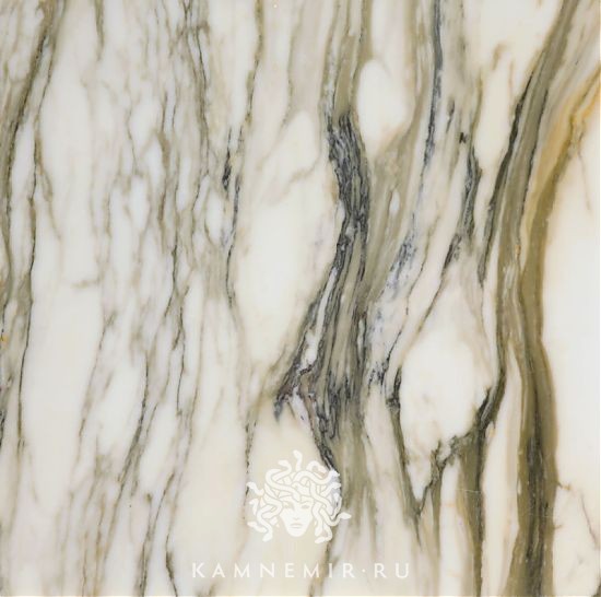 Paonazzo / Calacatta Paonazzo