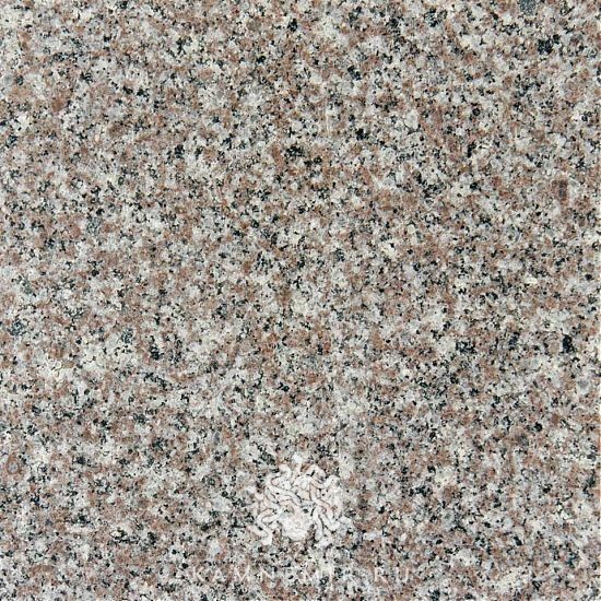 Bainbrook Brown / G664