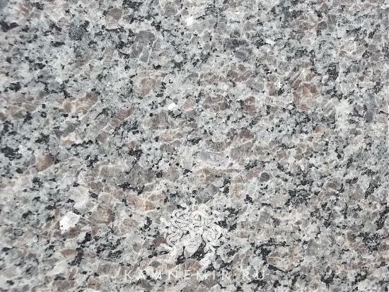 New Caledonia - изображение 1