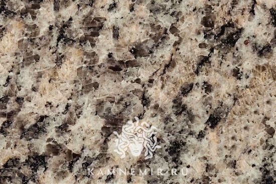 Ладожский - изображение 1