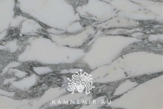 Arabescato Corchia - изображение 1