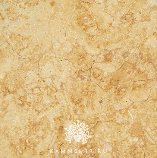 Sunny Dark / Sunny Gold - изображение 1