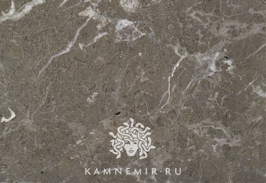 Savana Grey - изображение 2