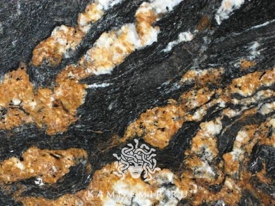 Black Taurus / Black Fusion - изображение 3