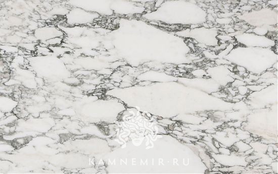 Arabescato Corchia - изображение 3