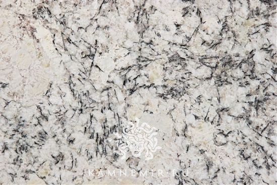 Ice Blue - изображение 3