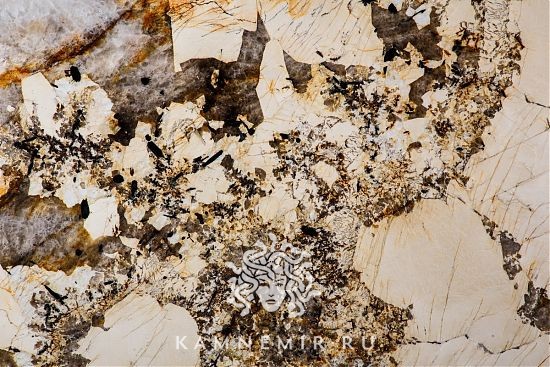 Patagonia - изображение 3