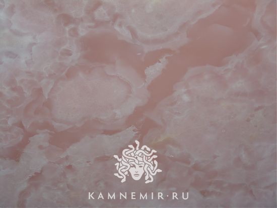 Onyx Rose - изображение 4