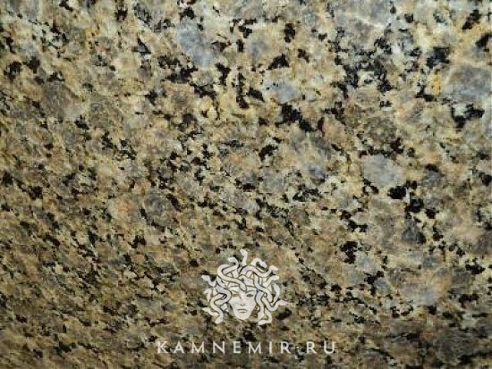 Butterfly Gold / Butterfly Yellow - изображение 3