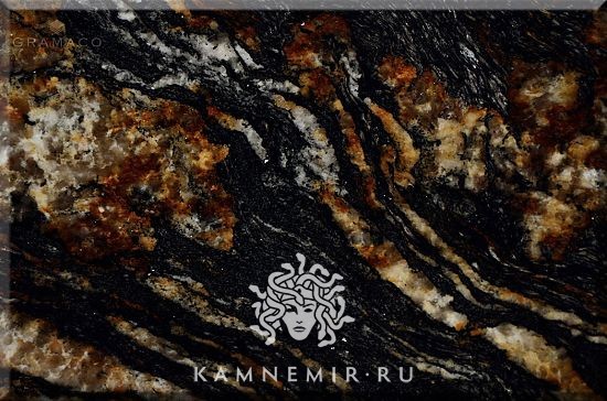 Black Taurus / Black Fusion - изображение 5