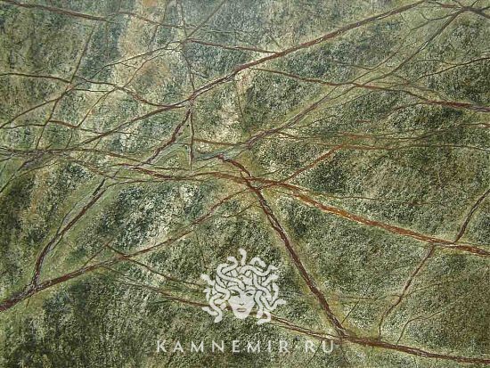 Bidasar Green / Rainforest Green