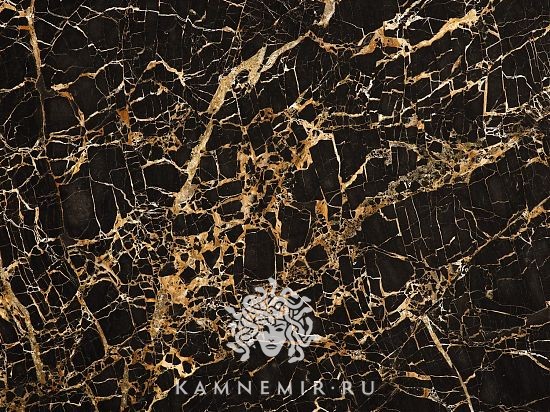 Black and Gold / Nero Portoro - изображение 1