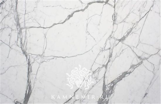 Bianco Statuario - изображение 1