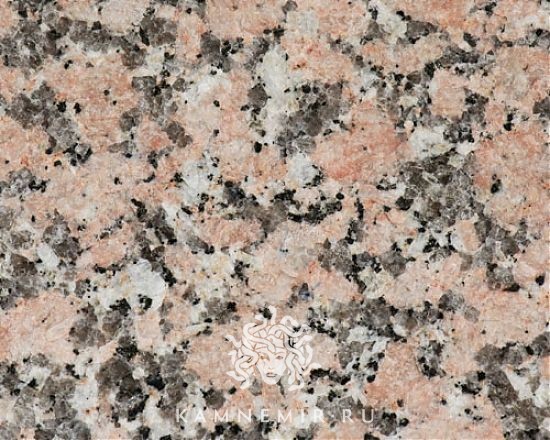 Rosa Porrino - изображение 1