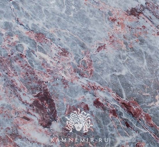 Salome - изображение 2