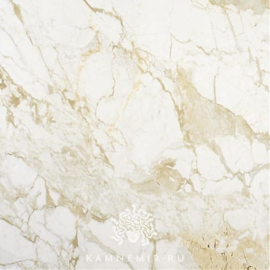 Calacatta Gold / Calacatta Oro - изображение 1