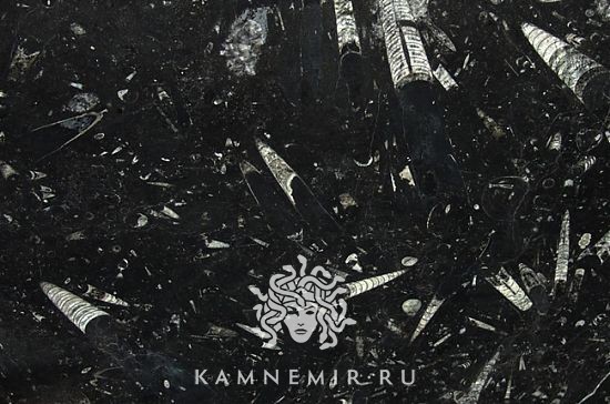 Black Fossil - изображение 2