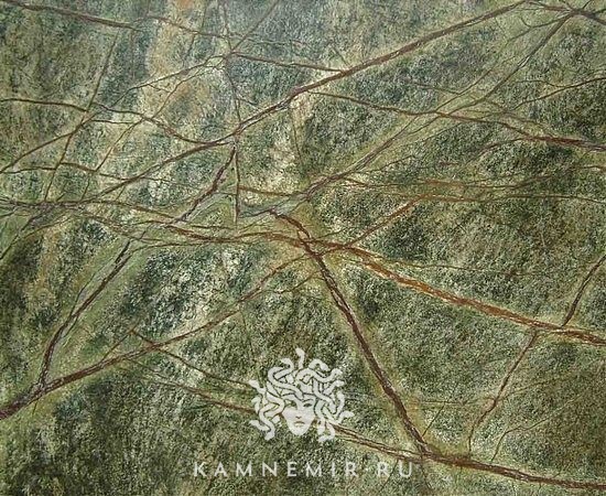 Bidasar Green / Rainforest Green - изображение 2