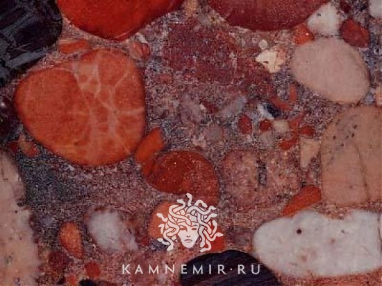 Red Marinace / Rosso Marinace - изображение 2