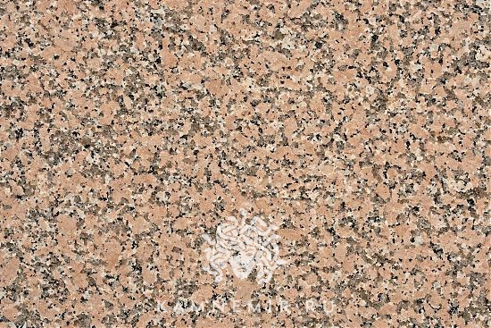 Rosa Porrino - изображение 2