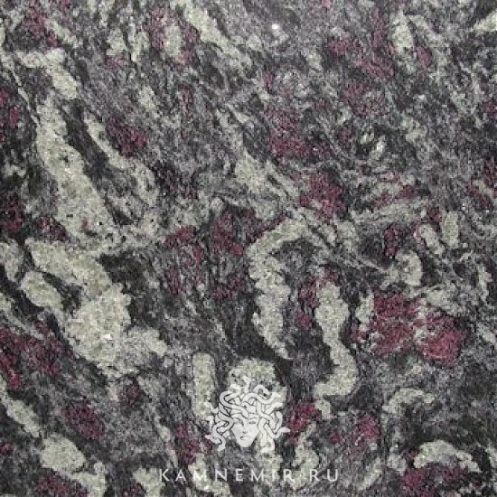 Amadeus - изображение 2