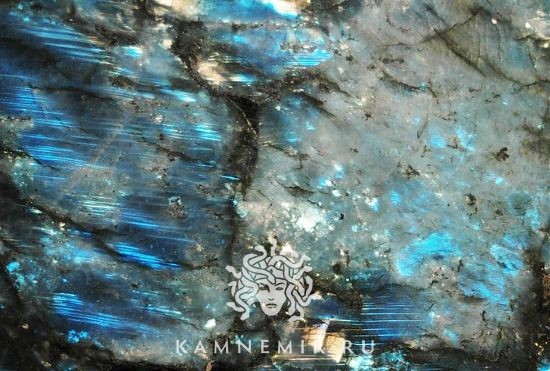 Blue Flowers / Big Flowers - изображение 2