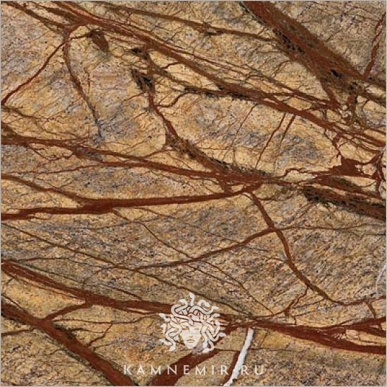 Bidasar Brown / Rainforest Brown - изображение 3