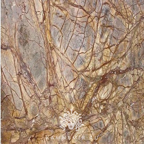 Bidasar Brown / Rainforest Brown - изображение 4