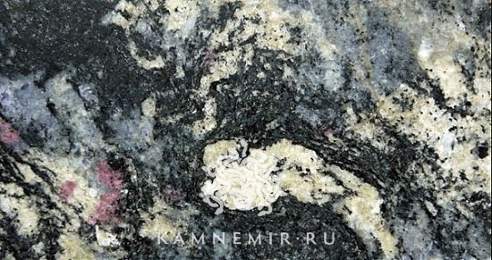 Amadeus - изображение 4