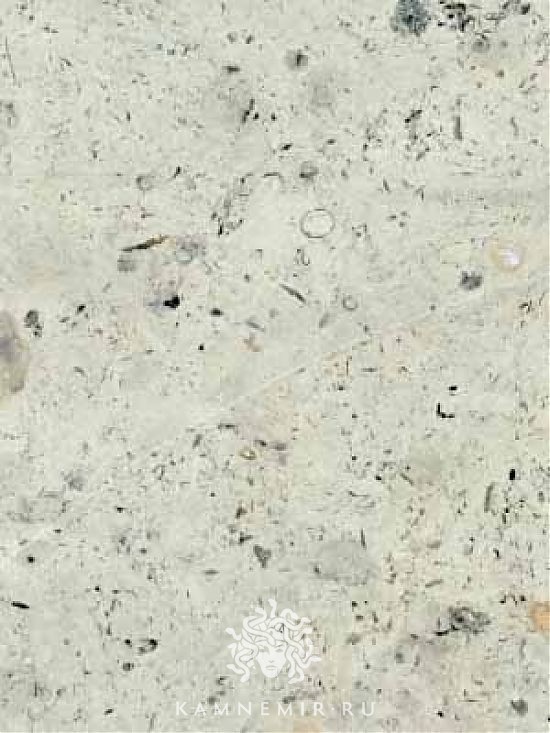 Кингисеппский