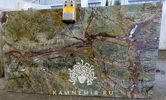 Bidasar Green / Rainforest Green - фото 1