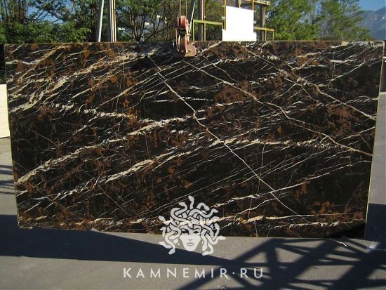 Black and Gold / Nero Portoro - фото 2