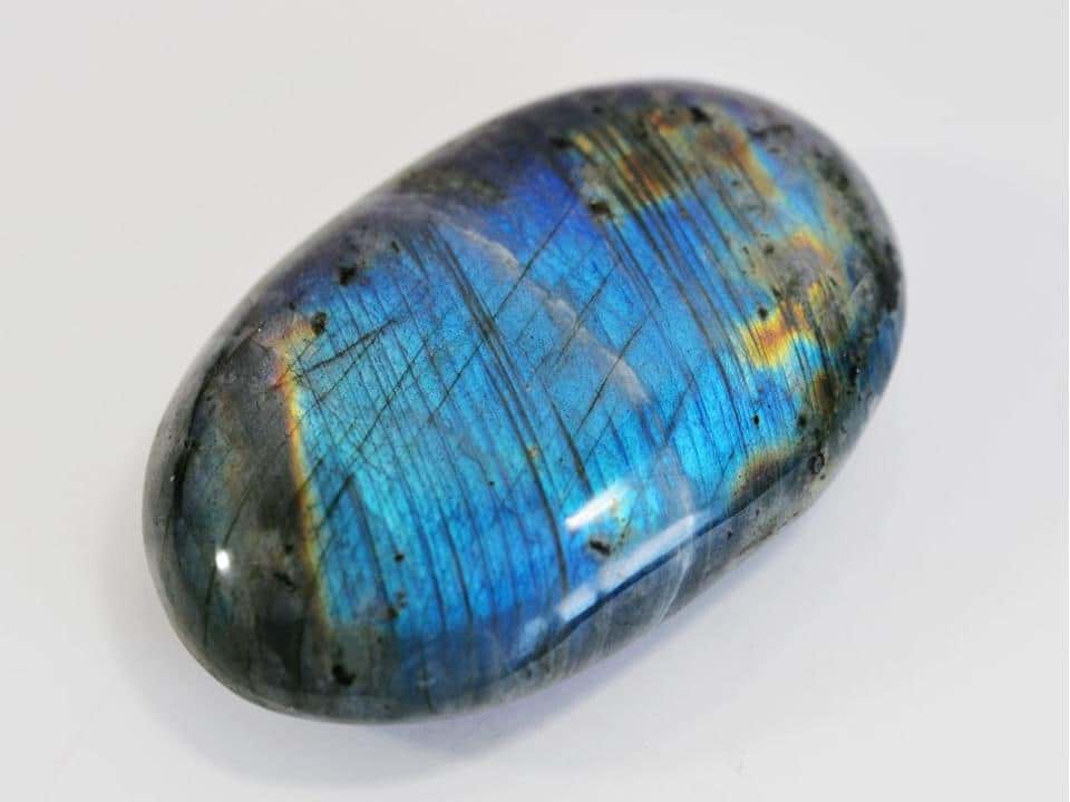 Лабрадор Лабрадор